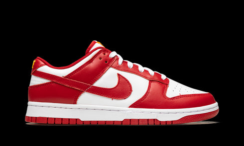 Dunk Low Retro "USC"